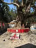 Raksha Kali shrine