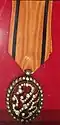 King Vajiravudh's Royal Cypher Medal, 1st class