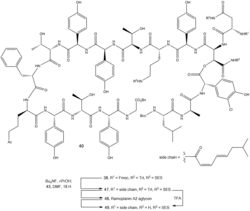 6 - Deprotection