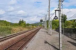 No.1 Platform