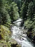Rapids on Elk Lake Creek