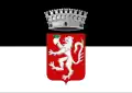 Flag of Rapolano Terme