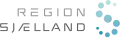 Official logo of Zealand Region