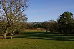 Reigate Heath