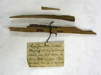 Wood fragments said to be from the flagstaff cut down by Hōne Heke. Auckland War Memorial Museum