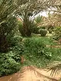 Rgabi Ait Hassou الرڭابي ايت حسو