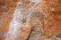 A rhinoceros facing the left