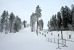 Riekstukalns
