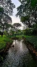 A river splitting the park in the middle