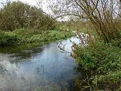Castle Acre Common