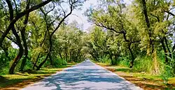 Khushab Road