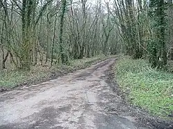 Lynsore Bottom