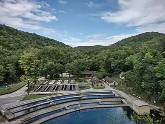 Hatchery