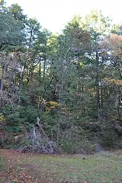 The lower reaches of the park