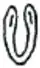 Rongorongo glyph 026(inverted)