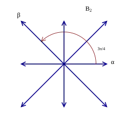 Root system B2