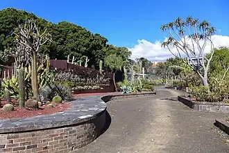 Succulent Garden