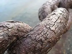Image 16Rusty chain, by WikipedianMarlith (from Wikipedia:Featured pictures/Sciences/Others)