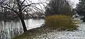 Fishpond Pod zámkem