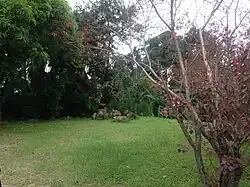 Garden.