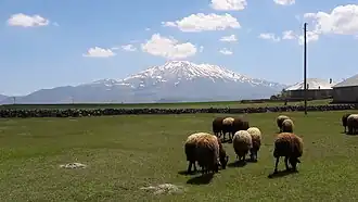 Mt. Süphan