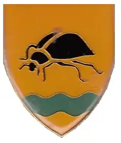 Walvis Bay Commando Insignia