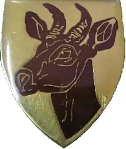 SADF era Barkly East Commando emblem
