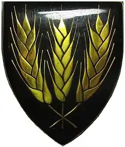 SADF era Swartland Commando emblem