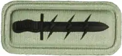 61 Mech Operational Service Badge