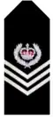 South Australia Police