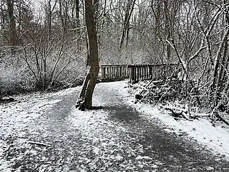 Salish Ponds Park