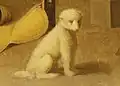 Close-up of the dog in Paul Kane's painting. "A Woman Weaving a Blanket" ca. 1849-1856 by Paul Kane (Royal Ontario Museum)