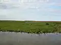 Salthouse Marshes