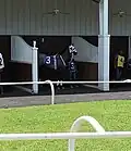 Paddock with horses getting ready for the next race