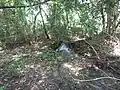 More springs