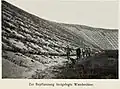 Support plantation of the dunes 1910, in some places the dunes can be over 50 meters high.