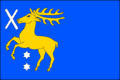 Flag of Sány
