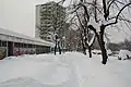 Winter scene at Grbavica on February 5, 2012