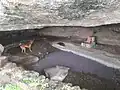 Rock-cut cave