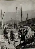 Austro-Hungarian soldiers in the woods of the Sette Comuni (Mount Zebio)