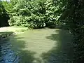 Schwabinger Bach in the Hirschau