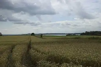 Schwansener See