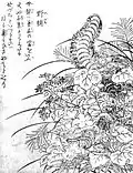 Nozuchi (ja:野槌)