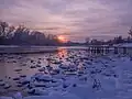 Lonjsko polje during winter