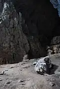 Petnica cave