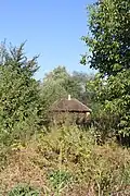 Virovac - Mill