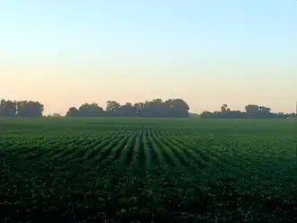 Fields in Argentina