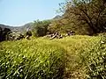 Sanjegan's Nature.