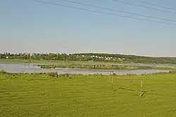 View on Malashivtsi