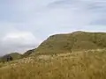 View of the fields at the top of the mountain